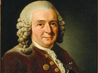 Carl Linnaeus picture, image, poster